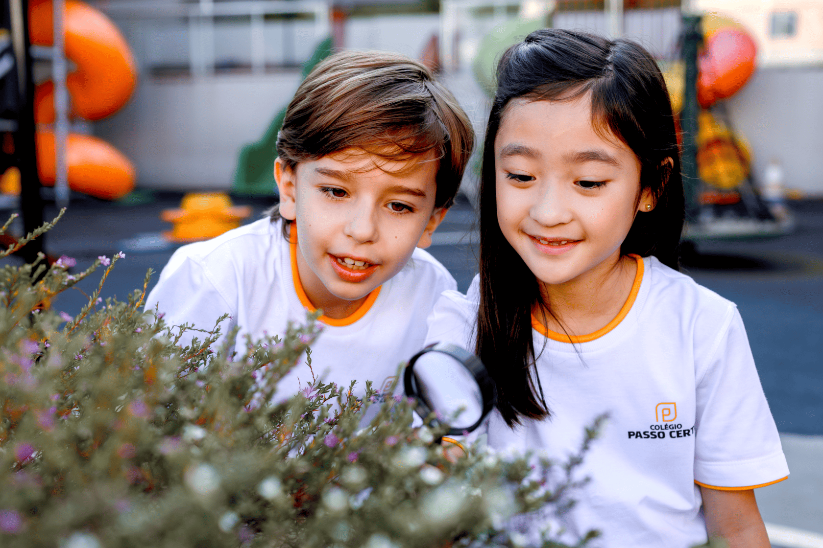 Foto_Home_PassoCerto (1)